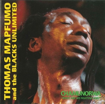Thomas Mapfumo And The Blacks Unlimited - Chamunorwa (''What Are We Fighting For?