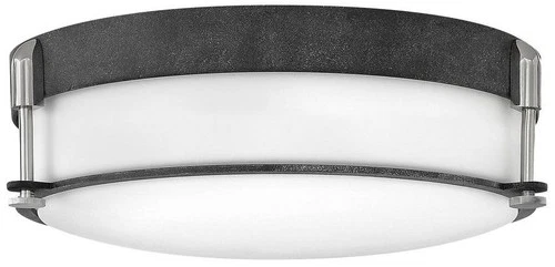 Hinkley Colbin 16 1/2" Wide Aged Zinc Ceiling Light - Picture 1 of 2