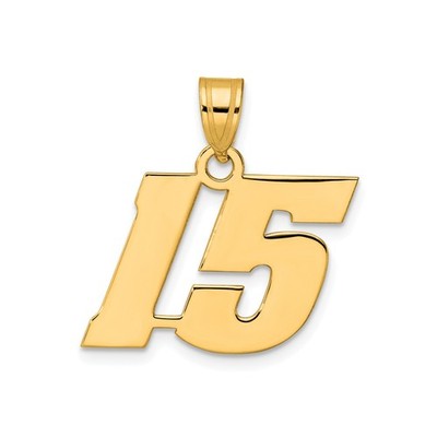 14k Gelbgold Zahl 15 Anhänger Hochpoliert Kühn Charm Quitte Geburtstag Schmuck