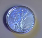 2020 American Silver Eagle 1 Oz Gem Brilliant Uncirculated Coin