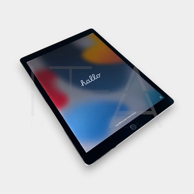 Apple iPad Pro 12,9'' 2. Generation A1671 256GB Wi-Fi Grau