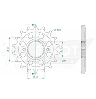 Esjot Ritzel #530 17 ZäHne (FüR: Royal Enfield Continental 535 GT EFI 14-16 )
