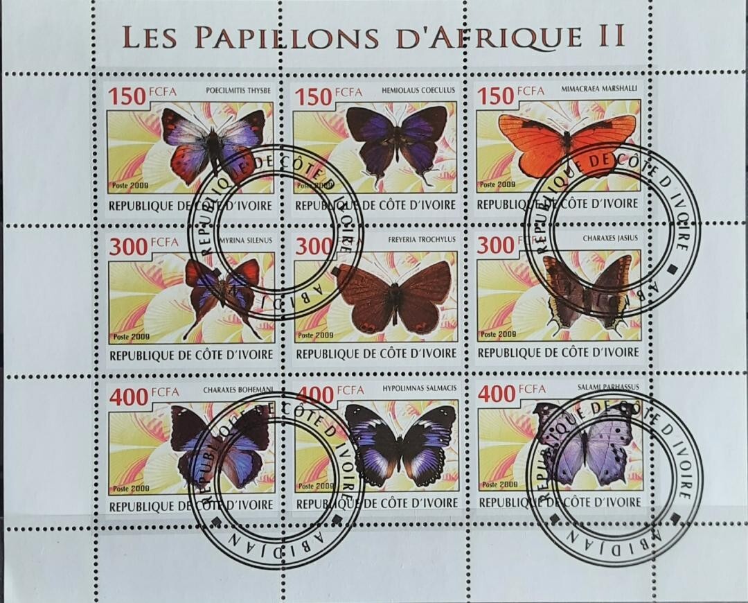 Foto 1 di 1