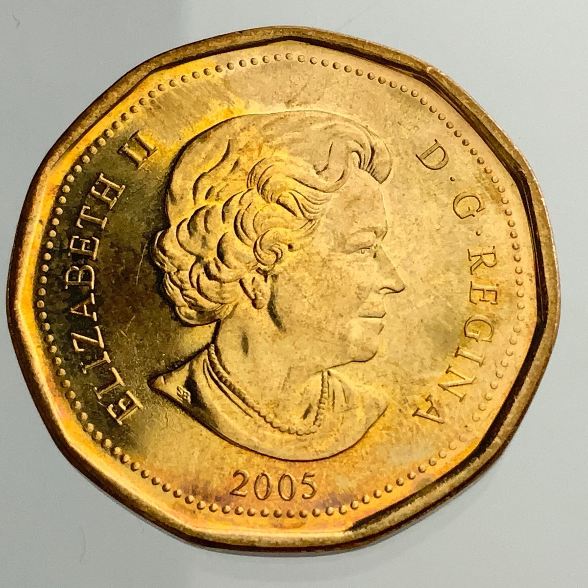 2005 Canada One Dollar Loonie Coin Terry Fox 1958 1981 JJ703 | eBay