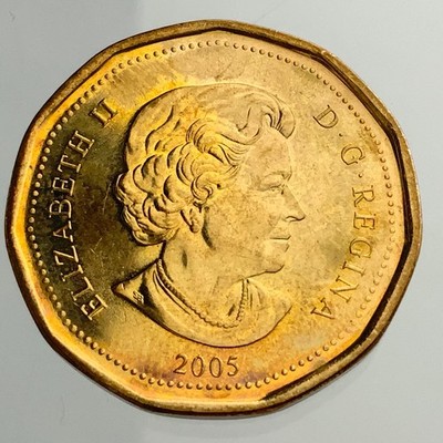 2005 Canada One Dollar Loonie Coin Terry Fox 1958 1981 JJ703 | eBay
