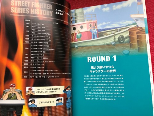 STREET FIGHTER 35th Aniv Exhibition Event Art Book w/Flyer and ticket stub - Picture 13 of 23