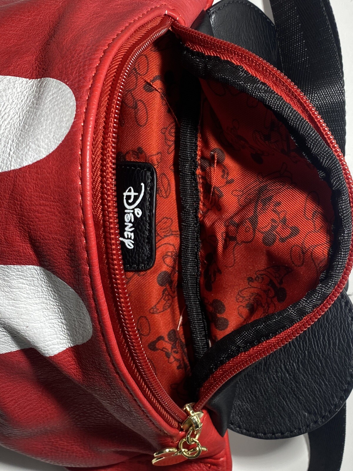 Picture 14 of 21