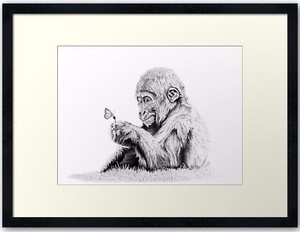 Dettagli Su Un Disegno Di Una Scimmia In Grafite Wild Life Arte Disegno Nero E Bianco Mostra Il Titolo Originale