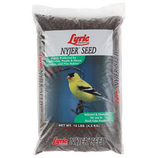 10 Lbs. Nyjer Seed Wild Bird Seed Finch Food Free Shipping New