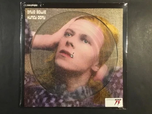 David Bowie - Hunky Dory limited edition picture disc, excellent, still sealed