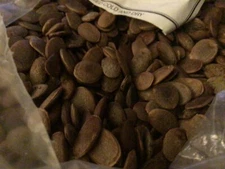 Common Persimmon Tree Seeds (DIOSPYROS VIRGINIANA)