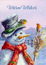Snowman  Two Small Birds on Broom and Hat Box of 12 Die Cut Christmas Cards