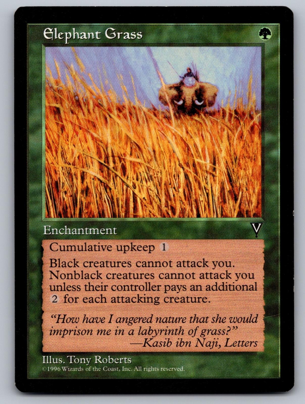 Elephant Grass Uncommon Visions