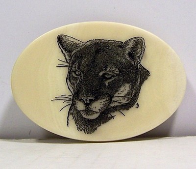 COUGAR Mountain Lion Belt Buckle Scrimshaw-Style Ivory-Like Black Etched Oval