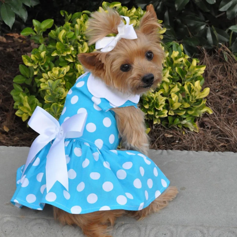 Doggie Design Blue Polka Dot Dog Harness Dress with Matching Leash (Small) - Image 4 of 4