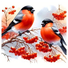 AMORARS Bird Diamond Art Kits for Adults, 5D Painting Multicolour