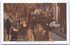Postcard Virginia Stebbins' Avenue Beautiful Caverns of Luray c.1926 WB UNP H1