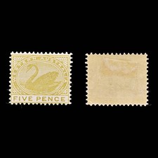 9028: Western Australia SG143 5d Olive bistre 1905 Sc#94 Mi66Aa Mint MH C£38