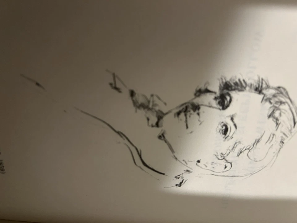 New Easton Press “Legend Of Sleepy Hallow” Collectors Edition - image 4 of 4