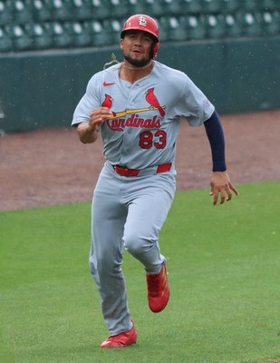 Ramon Mendoza Glossy Photo - St Louis Cardinals - Perfect for Autographs