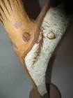 Bild 19 von 22
