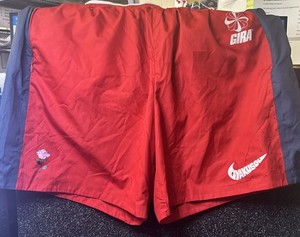 Nike Gyakusou Shorts | eBay