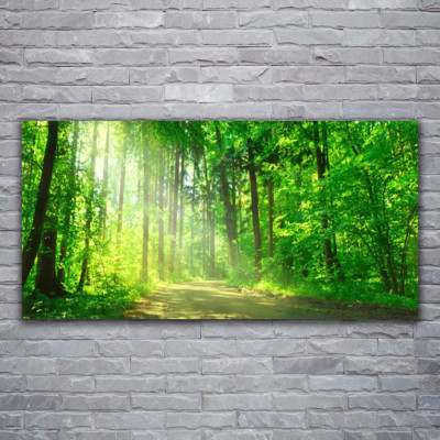Glasbilder Wandbild Druck auf Glas 120x60 Wald Natur