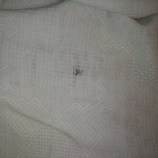 Picture 6 of 12