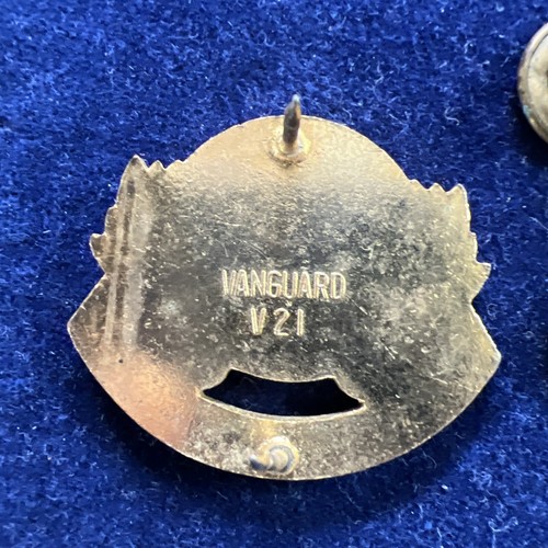 WW2 US Army 5° Reggimento Artiglieria Difesa Aerea Pinback Avanguardia V-21 - Foto 7 di 8