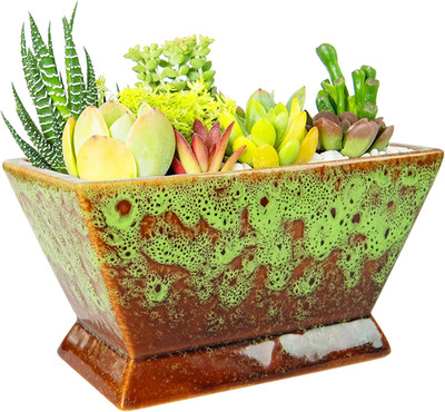 Succulent Pots - 7 Inch Large Plant Pot with Drainage, Shallow Bonsai Pots Ceram