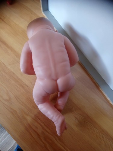 Berenguer Newborn Boy Realistic Newborn Baby Baby Doll - Picture 4 of 4