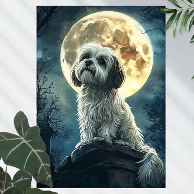 Shih Tzu Hund bei Vollmond Poster Schöne Wanddeko Dekoration