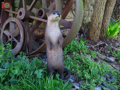 STANDING OTTER FIGURE by Vivid Arts. Ultra Realistic, Garden or Home, Size B NEW - Picture 2 of 11