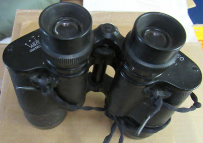 置物 lupinus0908 s-l400.jpg
