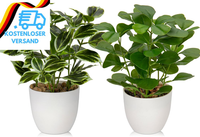 Briful 2PCS Kunstpflanze Wie Echt KüNstliche Ficus Pflanzen Im Topf Kleine Dekop