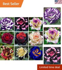 Heirloom Mixed Rare Rose Seeds: 300 Attractive Non-GMO Flowers for Pollinators