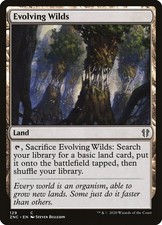 Normal - Evolving Wilds - 129 - Commander: Zendikar Rising - NM
