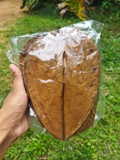LARGE Indian Almond Catappa Ketapang Leaf 200 Leaves Aquarium Betta Shrimp Fish