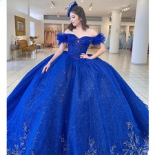 Royal Blue Sweet 16 Quinceanera Dresses Ball Gown Shiny Applique Sweet 16 Dress