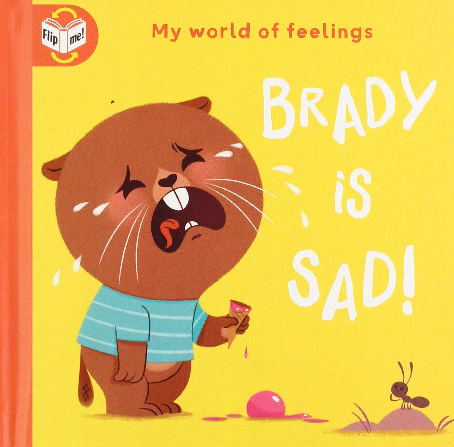 My World of Feelings: Sad/Happy: Brady is happy-sad Board book for Children