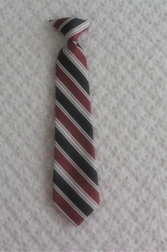 4 5 6 7 8 Boys Clip On Tie 12 inches long dress up formal photos wedding church
