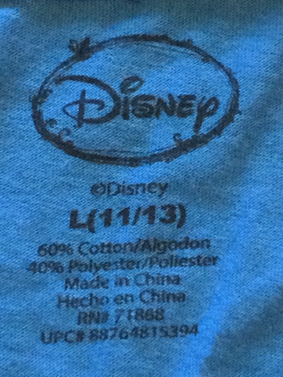 The Lion King -Young Mufasa - “No Worries”- Ladies Junior -Blue