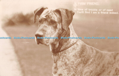 R381723 Ein fester Freund in Zeiten der Not oder der Not, in der du findest, dass ich ein Freund bin