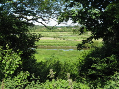 Photo 6x4 River Arun and Waltham Brooks Coldwaltham A small gap in the he c2009