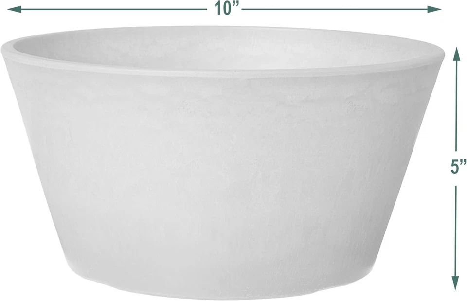 Arcadia Garden Products PSW Maceta TD25TP Colección Bombilla Poco Profunda Pan Maceta para S Foto 3 de 4