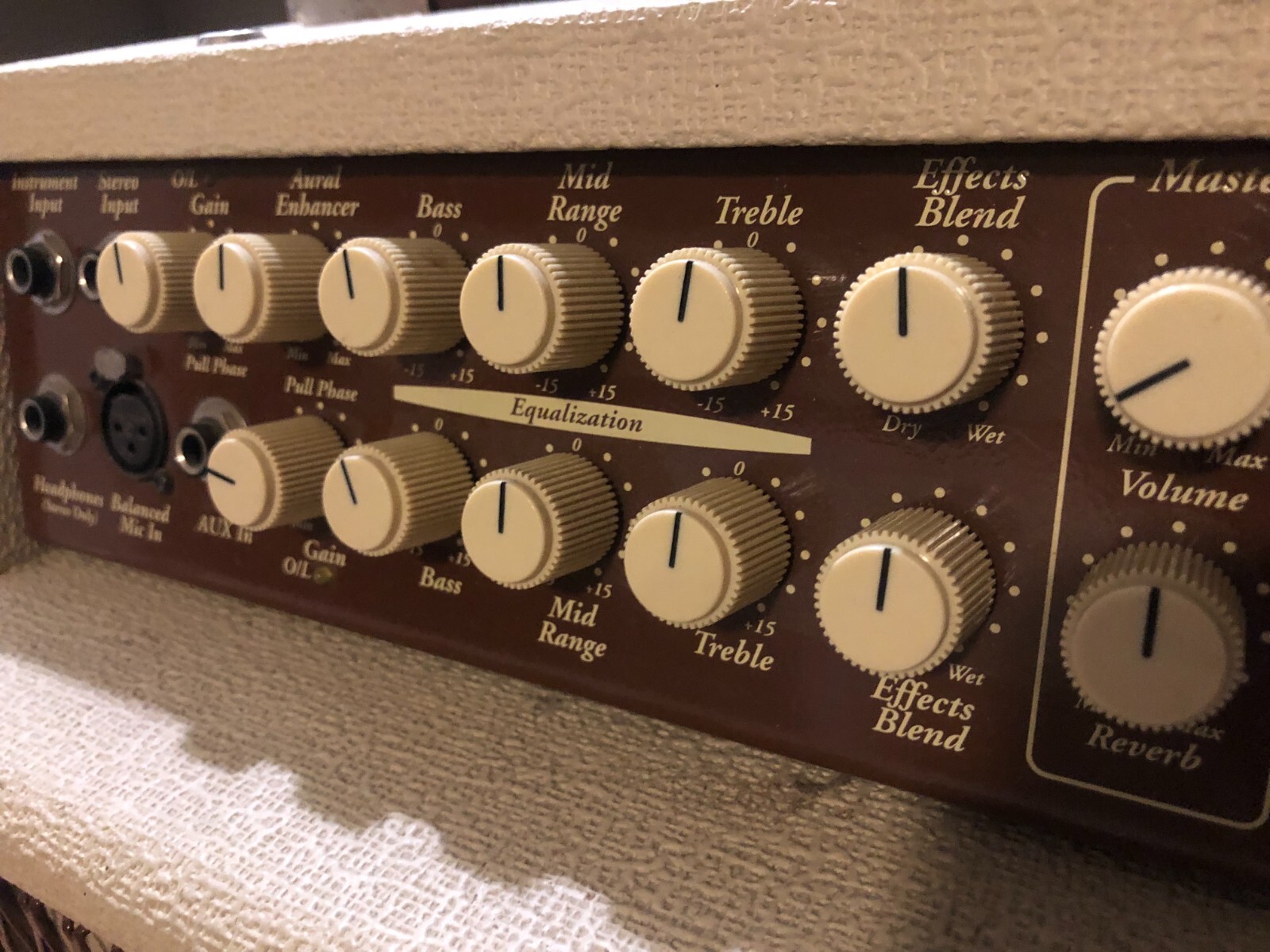 SWR California Blonde Acoustic Amp & PA w/2 Channels eBay