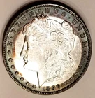 1896-O Semi Key Date  Morgan Dollar Rainbow Album Toned Old Collection SCARCE