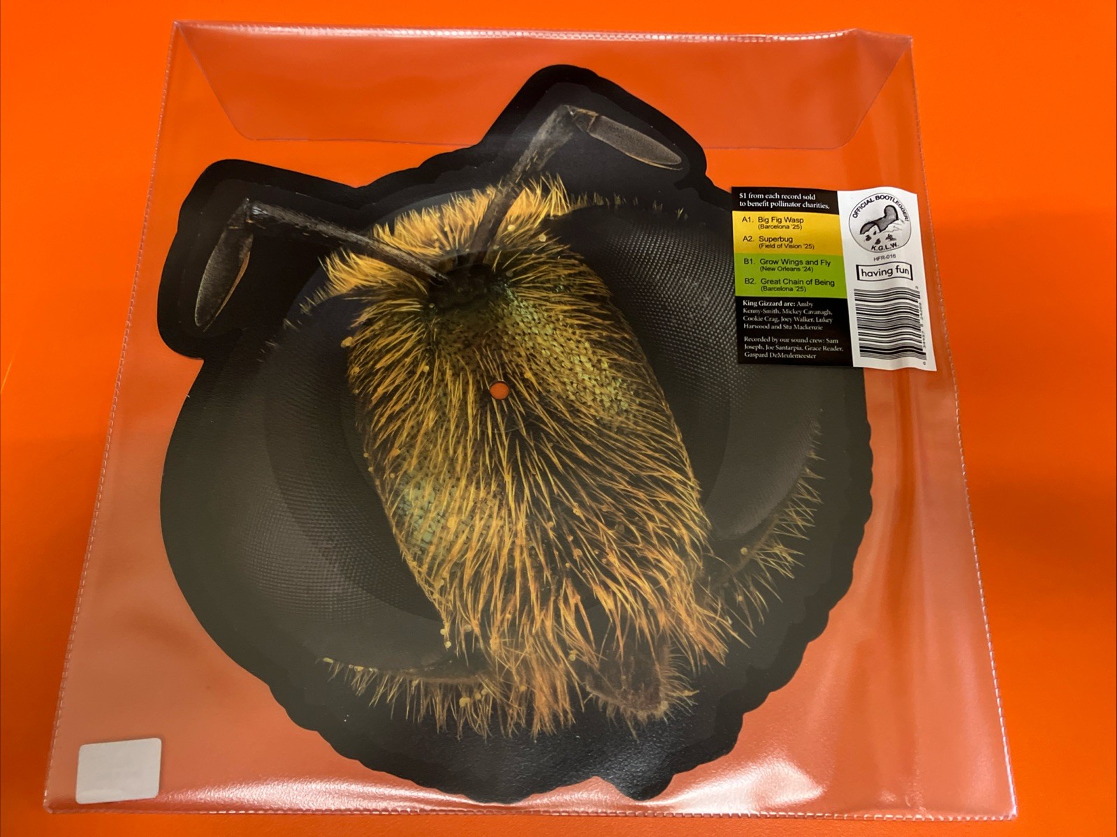 KING GIZZARD & LIZARD WIZARD - Big Fig Wasp LTD PIC DISC SHAPED VINYL LP RSD2026