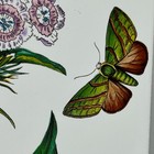 Bild 5 von 11