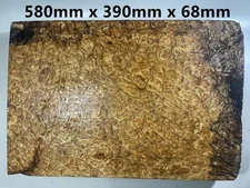 3D EFFECT AAAAA Golden Camphor Wood Burl Woodworking Timber